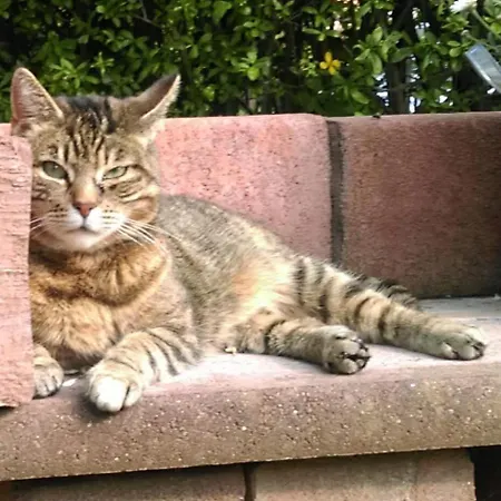 Luise, Gemuetlich, Freundlich Und Ganz Nah An Berlin Apartament Oranienburg