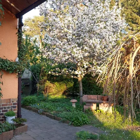 Apartament Luise, Gemuetlich, Freundlich Und Ganz Nah An Berlin