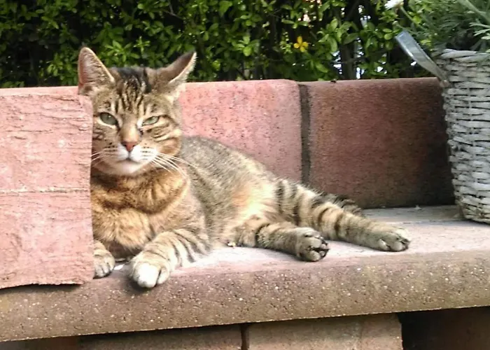 Luise, Gemuetlich, Freundlich Und Ganz Nah An Berlin Lägenhet Oranienburg